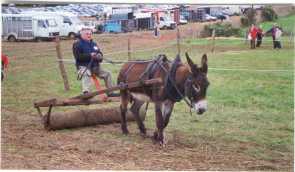 démonstration de travaux agricoles pendant la fête aux ânes